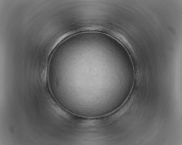 X0000114111228200910191655