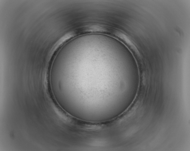 X0000114111229200910191655