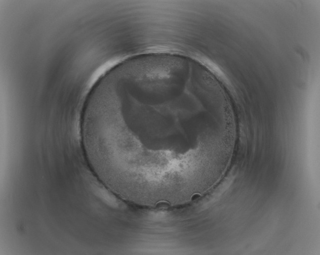 X0000114111230200910191655