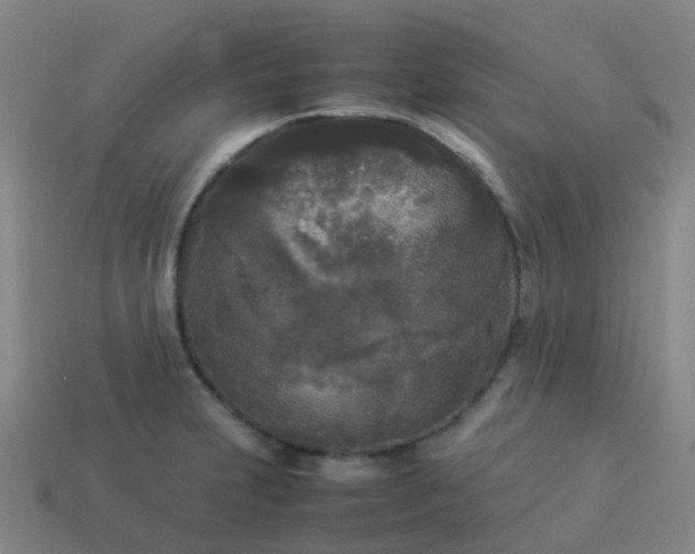 X0000114111231200910191655