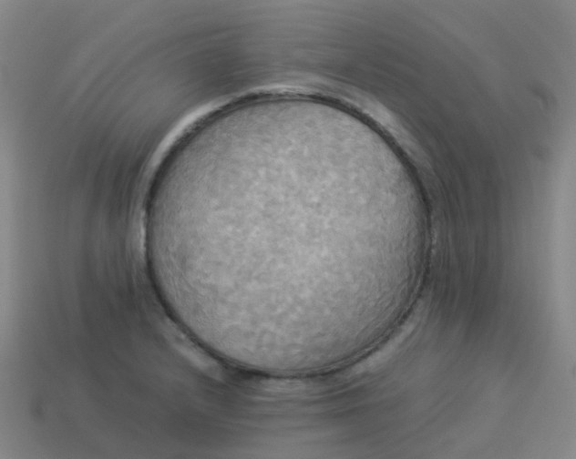 X0000114111232200910191656