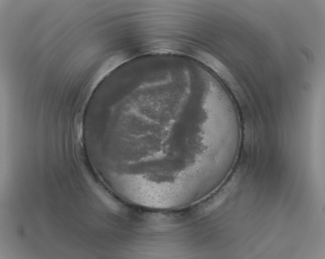 X0000114111234200910191656