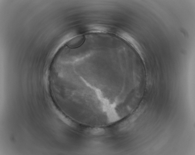 X0000114111235200910191656