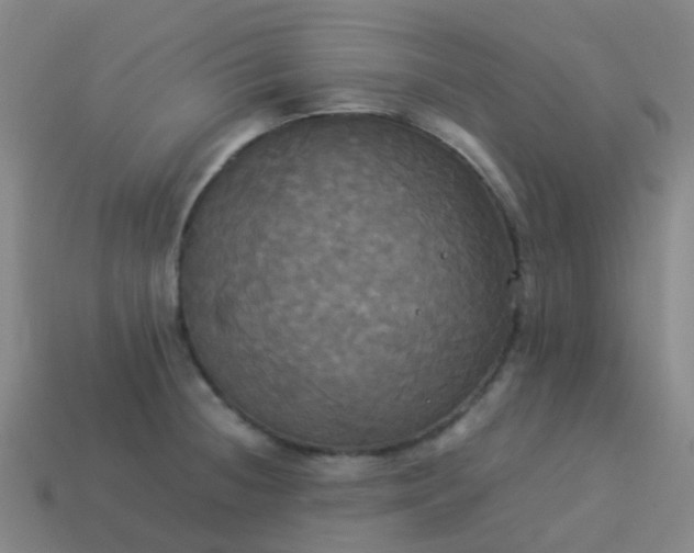 X0000114111236200910191656