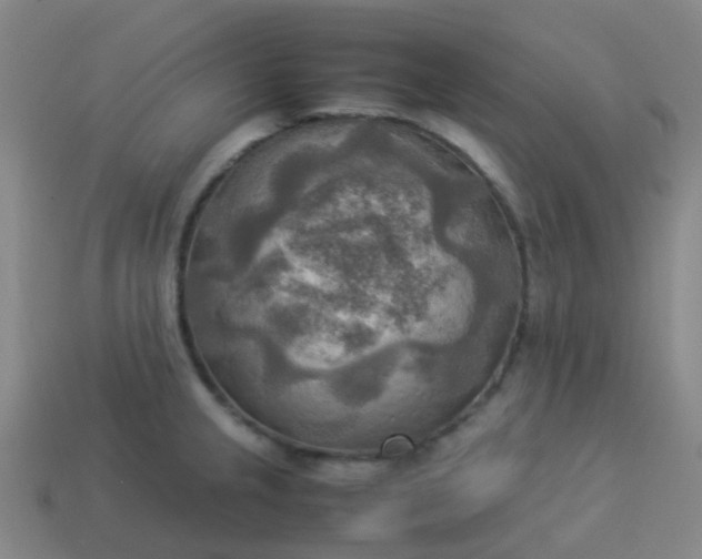 X0000114111237200910191656