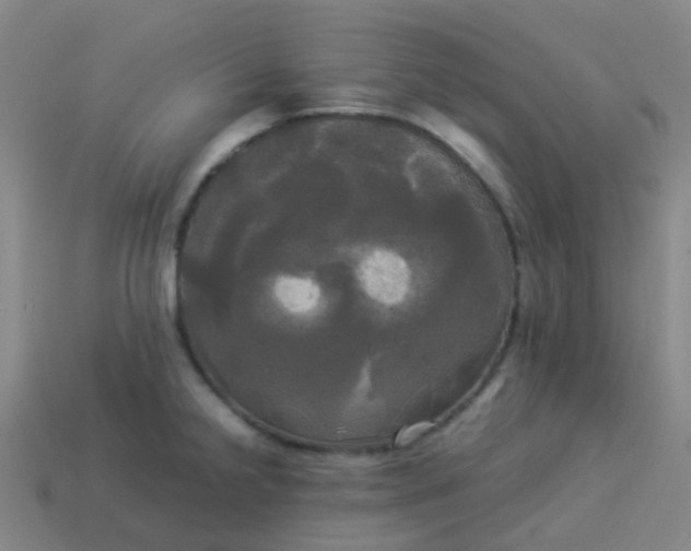 X0000114111238200910191656