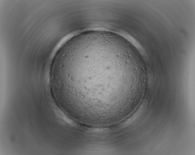 X0000114111240200910191656