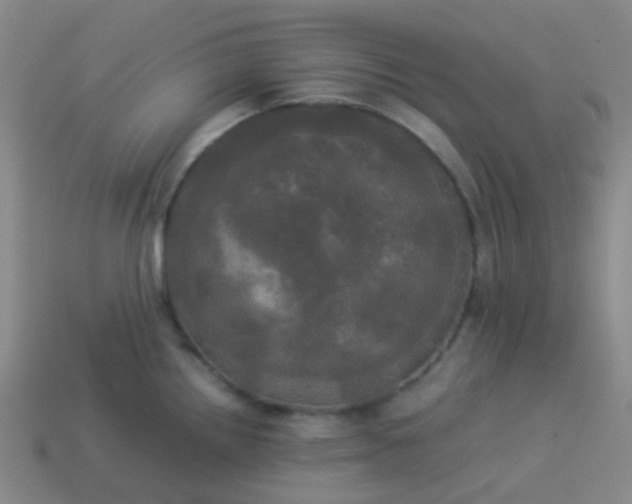 X0000114111242200910191656