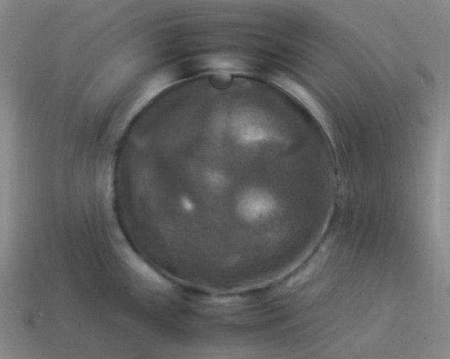 X0000114111243200910191656