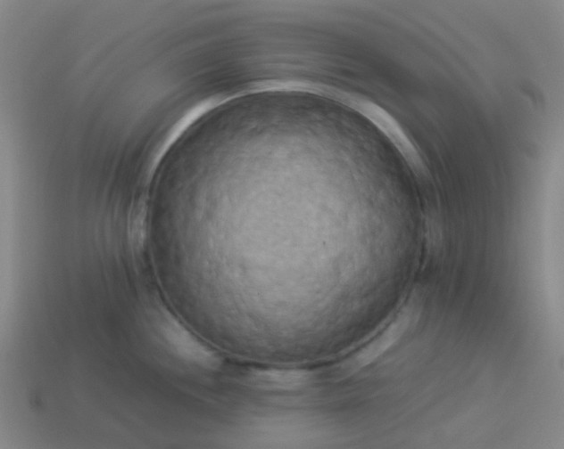 X0000114111244200910191656