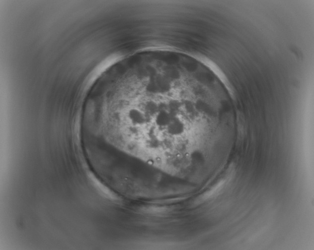 X0000114111245200910191656