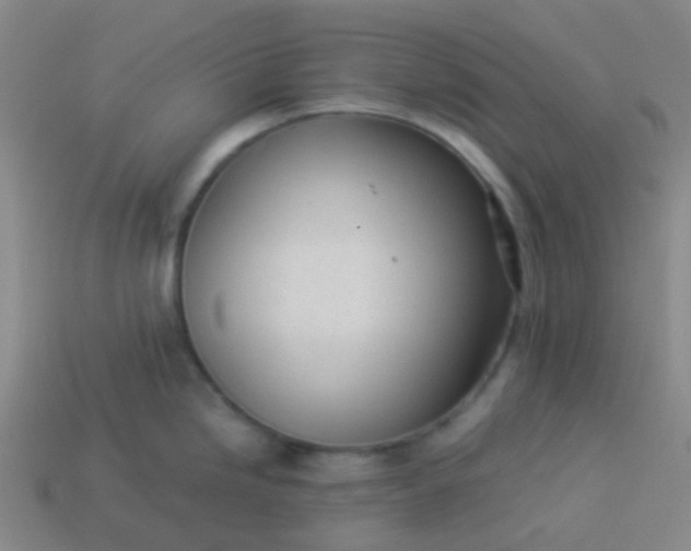 X0000114111246200910191656