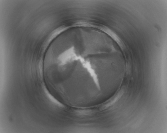 X0000114111247200910191656