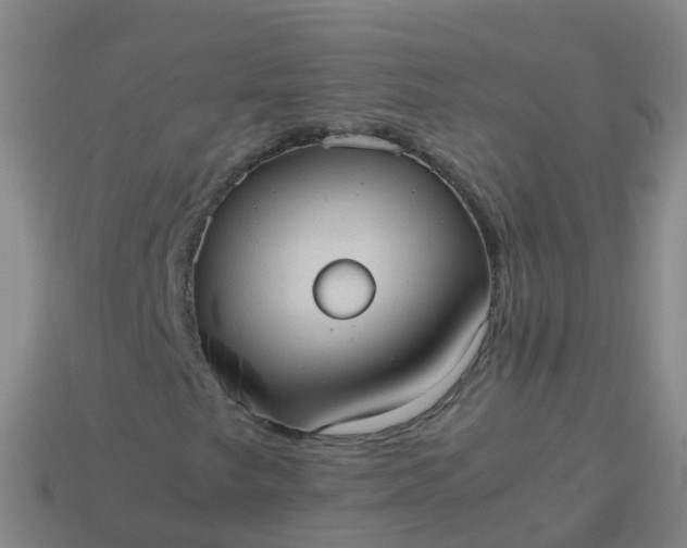 X0000114111249200910191655