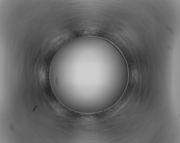 X0000114111250200910191655