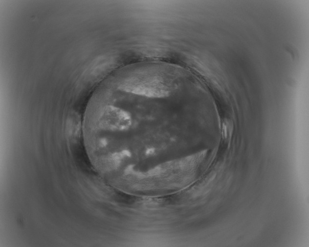 X0000114111251200910191655