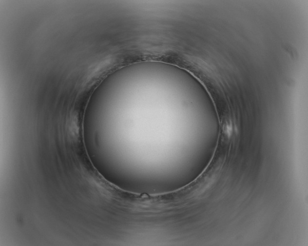 X0000114111252200910191655