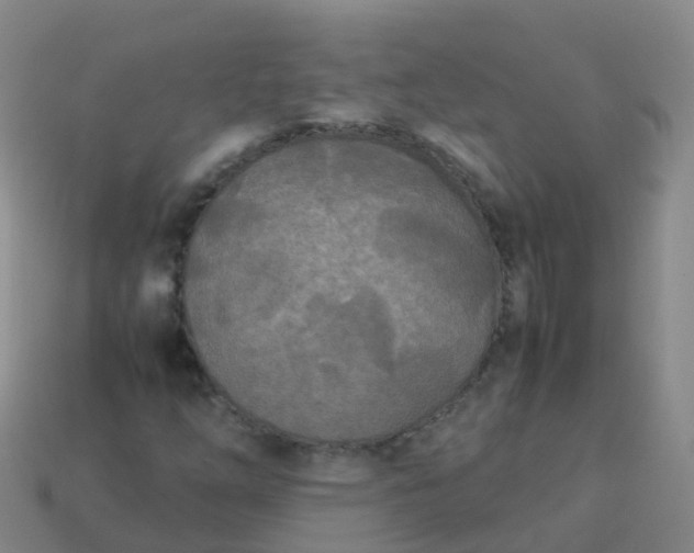 X0000114111254200910191655