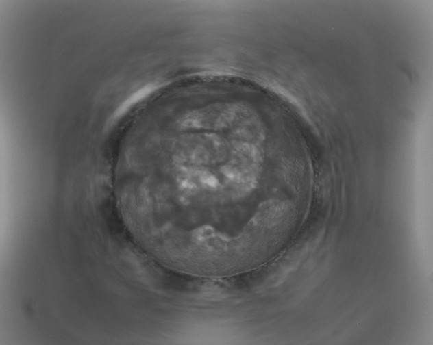 X0000114111255200910191655