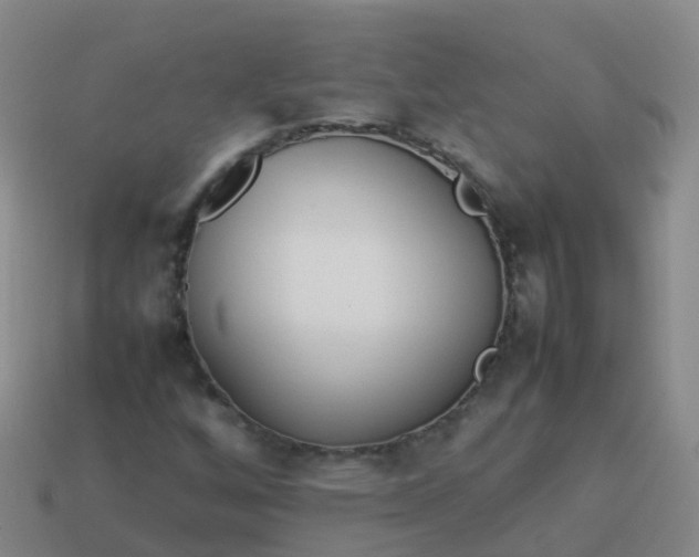 X0000114111256200910191655