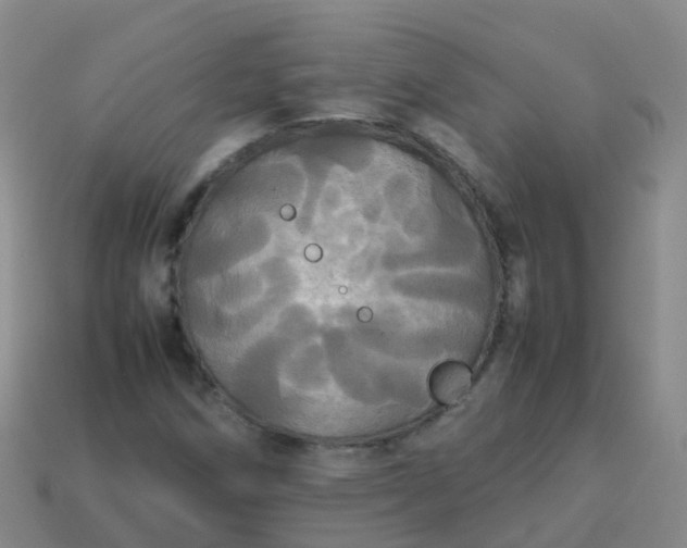 X0000114111258200910191655