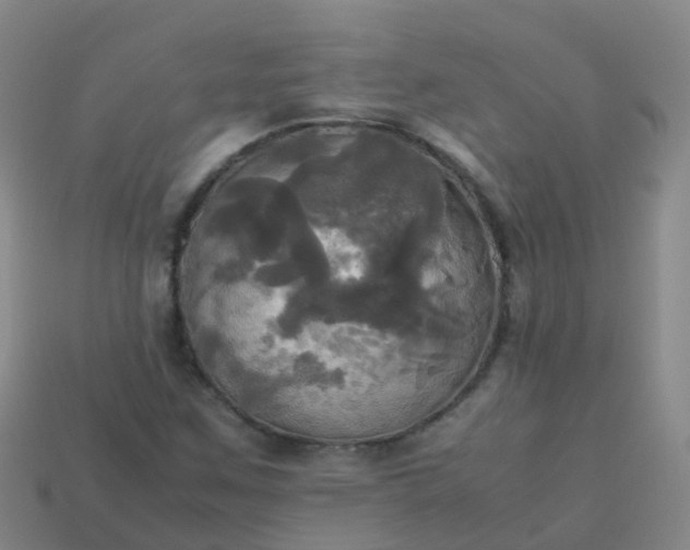 X0000114111259200910191655