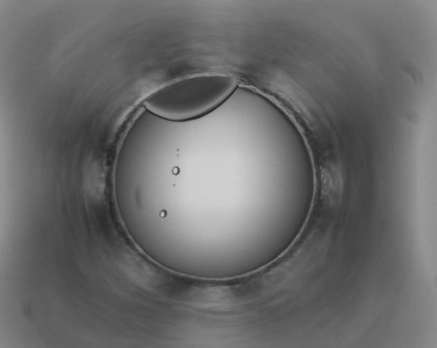 X0000114111260200910191655