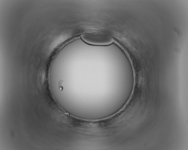 X0000114111261200910191655