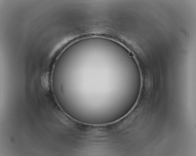 X0000114111262200910191655