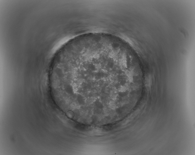 X0000114111263200910191655