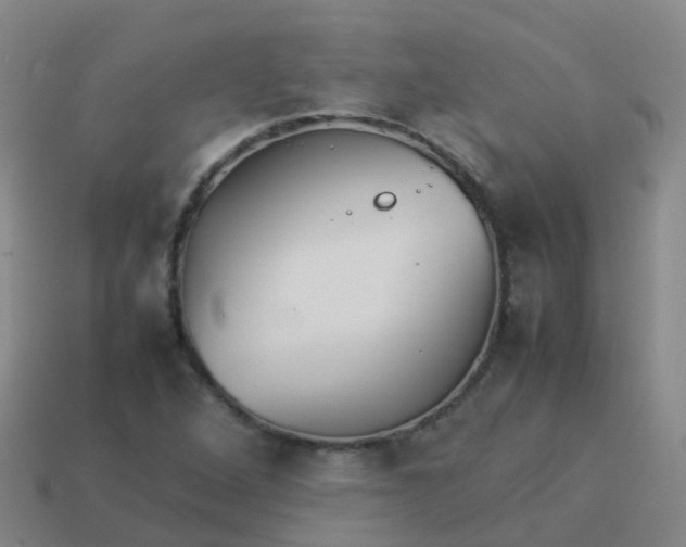 X0000114111264200910191655