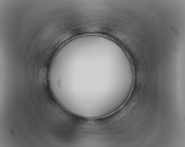 X0000114111265200910191655