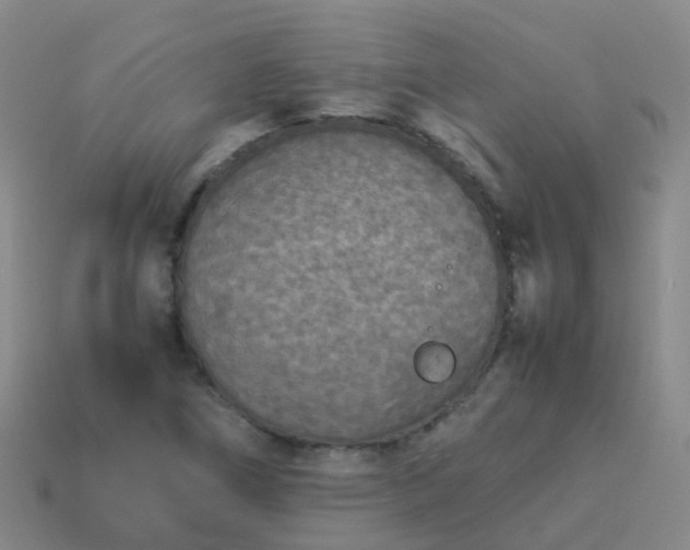 X0000114111266200910191655