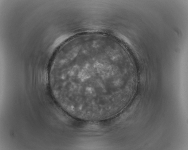 X0000114111267200910191655