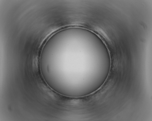 X0000114111268200910191655