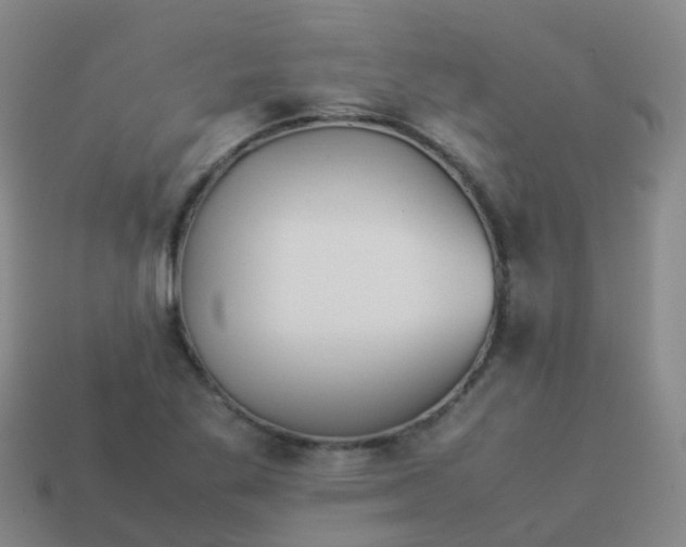 X0000114111269200910191655