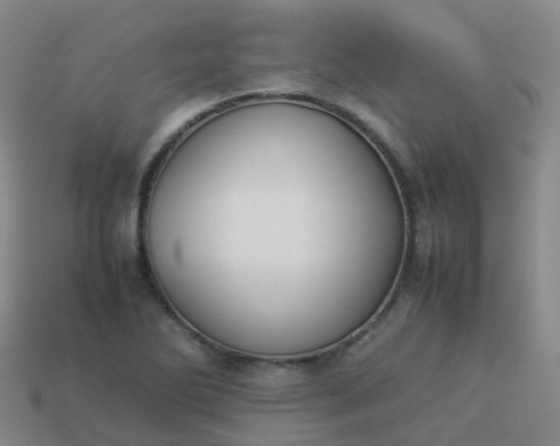 X0000114111270200910191655