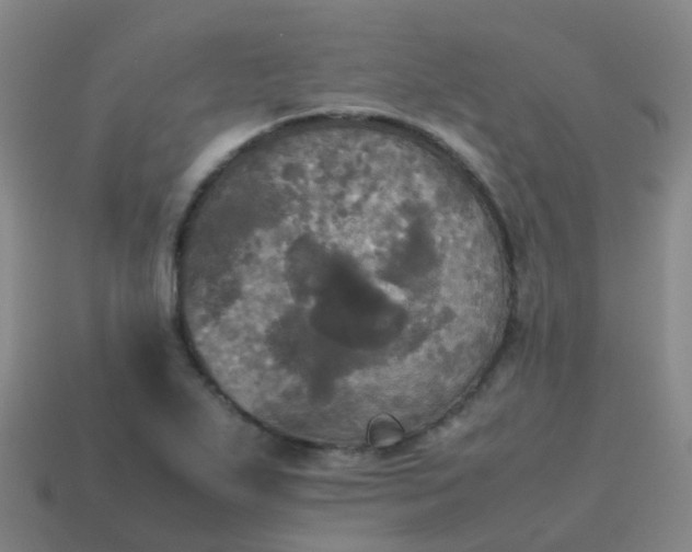 X0000114111271200910191655