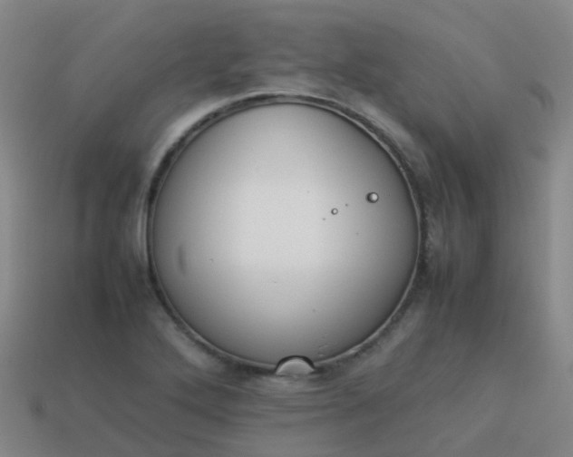 X0000114111272200910191655