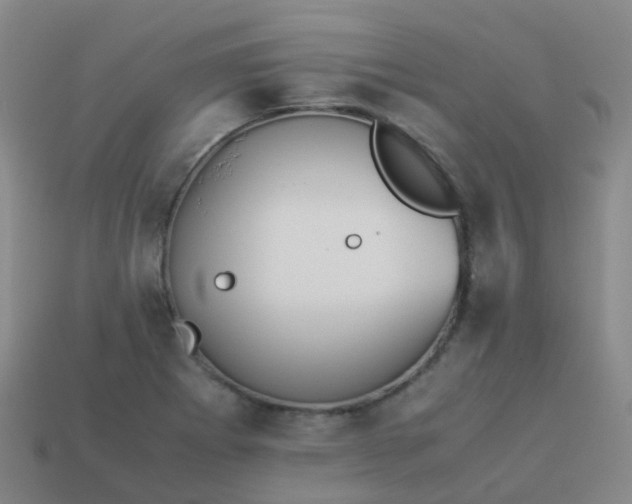 X0000114111273200910191655