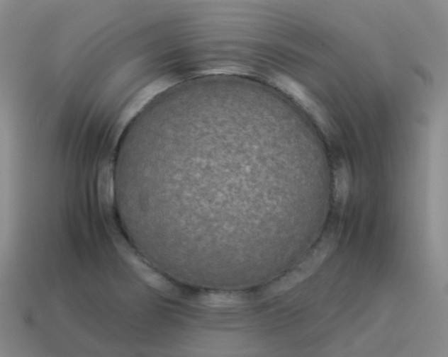 X0000114111274200910191655