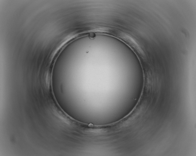 X0000114111276200910191655