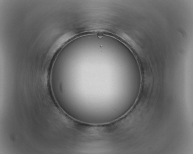 X0000114111277200910191655