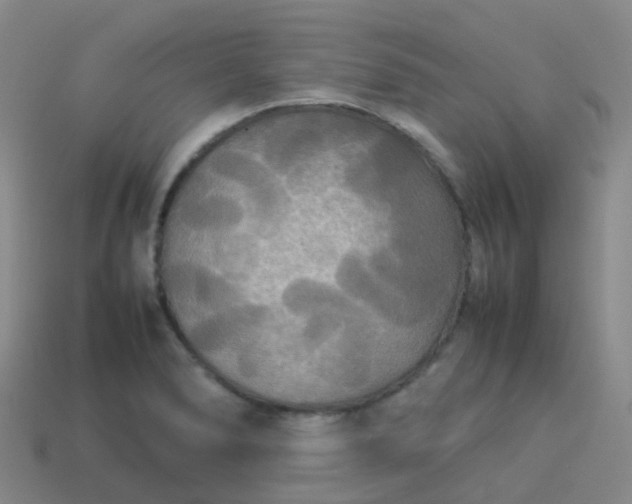 X0000114111278200910191655