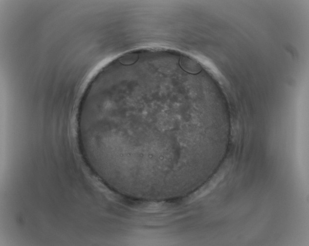 X0000114111279200910191655