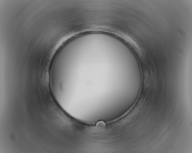 X0000114111280200910191655