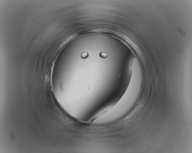 X0000114111281200910191655