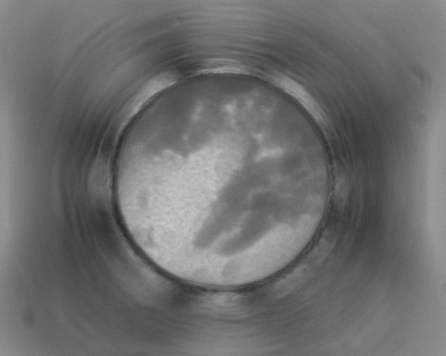 X0000114111282200910191655