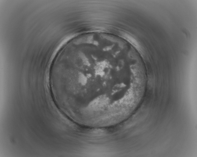 X0000114111283200910191655