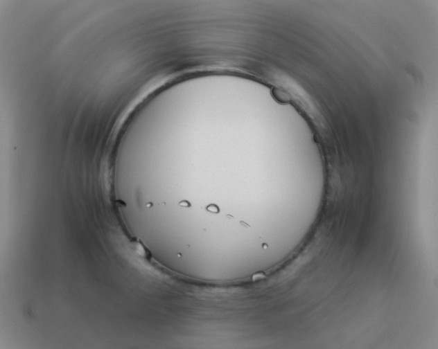 X0000114111284200910191655